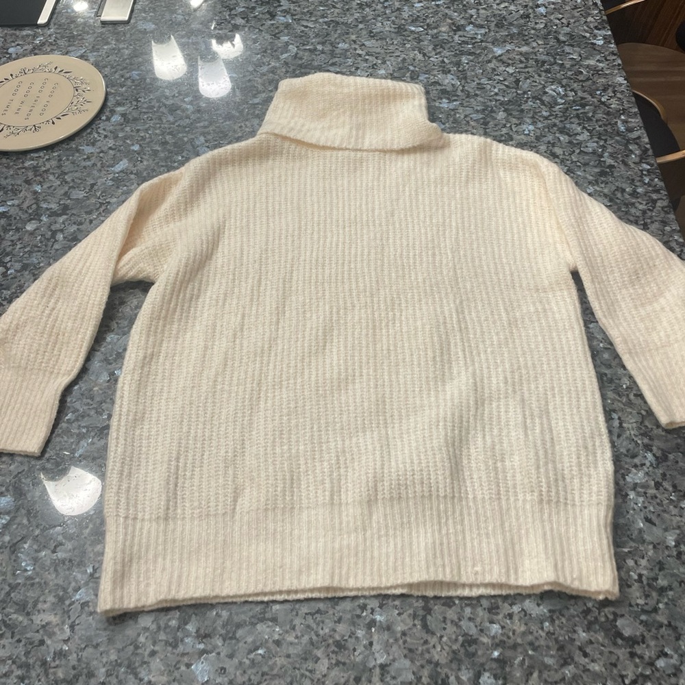 Oversized turtle neck